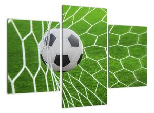 Fotbalový míč v síti - obraz (90x60cm)