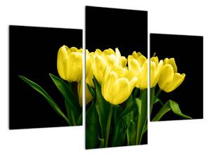 Tulipány - obraz (90x60cm)