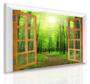 3D obraz okno zelený les Velikost (šířka x výška): 50x40 cm