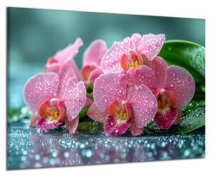 Obraz na plátně Orchideje a kapky , jednodílný 4601AX