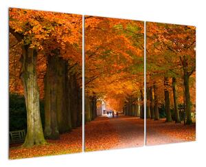 Obraz - cesty lesem na podzim (120x80cm)