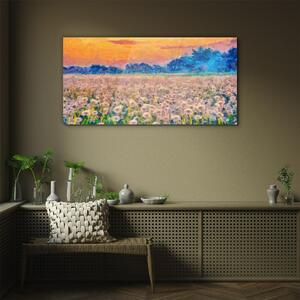 Obraz na skle Obraz na skle Pampeliška louka západu slunce