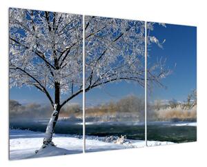 Obraz zamrzlé zimní krajiny (120x80cm)