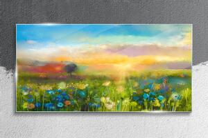 Obraz na skle Obraz na skle Západ slunce květiny