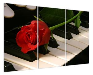 Obraz růže na klavíru (120x80cm)