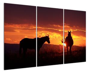 Obraz - koně při západu slunce (120x80cm)