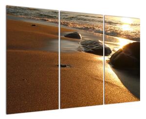 Obraz písečné pláže (120x80cm)