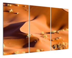 Obraz pouštích dun (120x80cm)