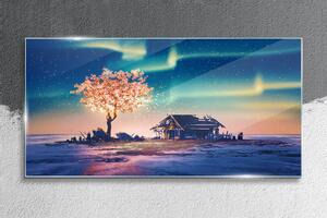 Obraz na skle Obraz na skle Abstrakce strom sky noc