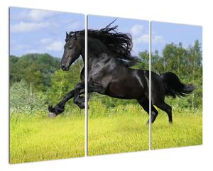 Obraz koně (120x80cm)