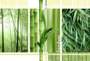 Vliesová fototapeta bambus koláž, rozměr 312 cm x 219 cm, fototapety IMPOL TRADE 2-180VE