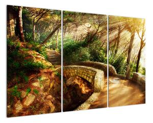 Obraz lesní cesty (120x80cm)