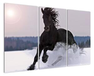 Obraz koně ve sněhu (120x80cm)