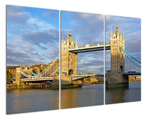 Obraz Londýna - Tower bridge (120x80cm)
