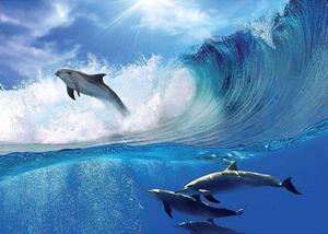 Vliesová fototapeta delfíni, rozměr 312 cm x 219 cm, fototapety IMPOL TRADE 188VE