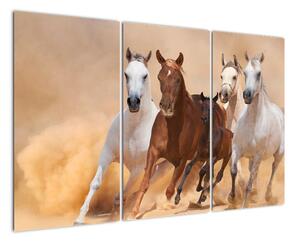 Obrazy běžících koní (120x80cm)