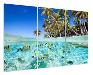 Obraz tropického moře (120x80cm)