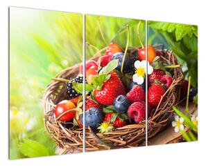 Obraz borůvek, jahod a malin (120x80cm)