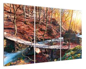 Obraz mostu - podzimní cesta lesem (120x80cm)