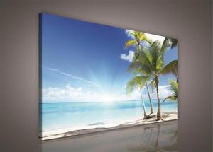 Obraz na plátně palmy na pláži 227O1, 100 x 75 cm, IMPOL TRADE
