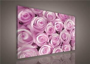 Obraz na plátně růžové růže 127O1, 75 x 100 cm, IMPOL TRADE