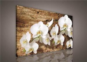 Obraz na plátně bílá orchidej na dřevě 414O1, 75 x 100 cm, IMPOL TRADE