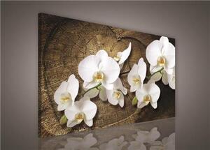 Obraz na plátně bílá orchidej na dřevěném srdci 417O1, 75 x 100 cm, IMPOL TRADE