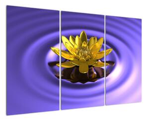 Obraz květu ve vodě (120x80cm)