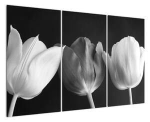 Černobílý obraz - tři tulipány (120x80cm)