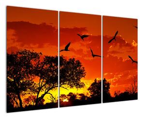 Obraz zapadajícího slunce s ptáky (120x80cm)