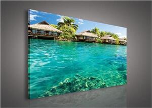 Obraz na plátně Maledivy 161O1, 75 x 100 cm, IMPOL TRADE