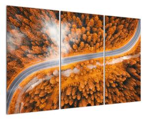 Cesta lesem - moderní obrazy na zeď (120x80cm)
