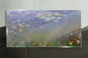 Obraz na skle Obraz na skle Vodní lilie mince
