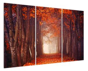 Podzimní les - obraz (120x80cm)