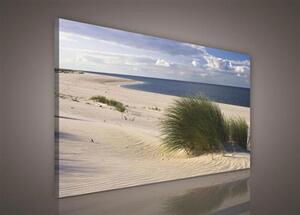 Obraz na plátně písečná pláž 192O1, 75 x 100 cm, IMPOL TRADE