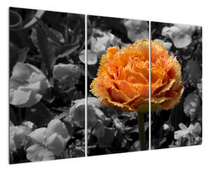 Oranžový květ na černobílém pozadí - obraz (120x80cm)