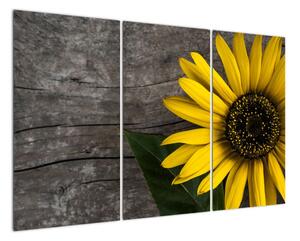 Obraz slunečnice na stole (120x80cm)