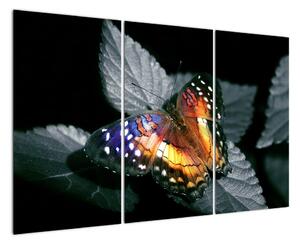 Motýl na listu - obraz (120x80cm)