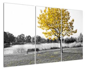 Obraz žlutého stromu v přírodě (120x80cm)