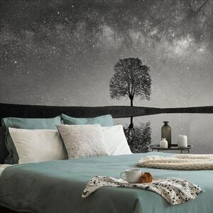 Fototapeta černobílá hvězdná obloha nad osamělým stromem