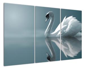 Obraz: labuť (120x80cm)