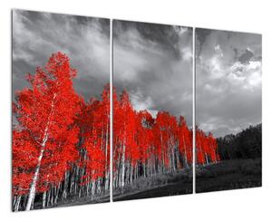 Červený les - moderní obraz (120x80cm)