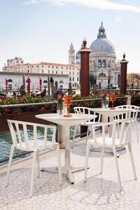 Jídelní židle Venice - Kartell