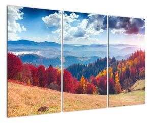 Obraz podzimní přírody (120x80cm)