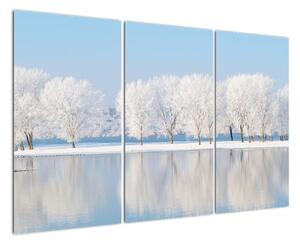 Obraz - zimní příroda (120x80cm)