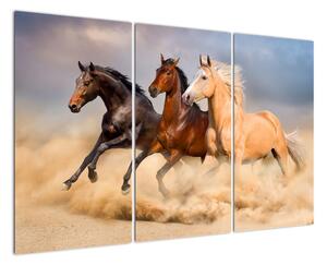 Moderní obraz koní (120x80cm)