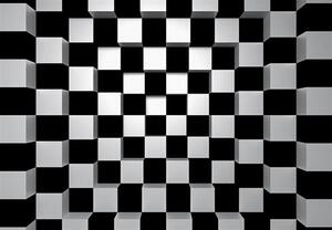 Fototapeta 3D Black + White Squares, rozměr 366 cm x 254 cm, fototapety šachovnice 00968, W+G