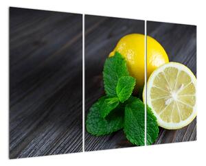 Obraz citrónu na stole (120x80cm)