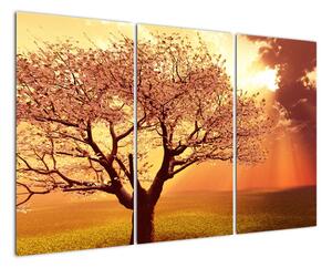Obraz stromu (120x80cm)