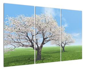 Obraz kvetoucího stromu na jarní louce (120x80cm)